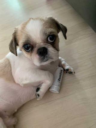 다니도니맘님이 올린 리뷰 사진 1