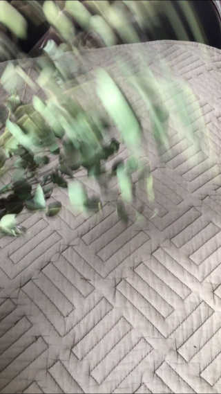 거져줄께잘사가님이 올린 리뷰 사진 4