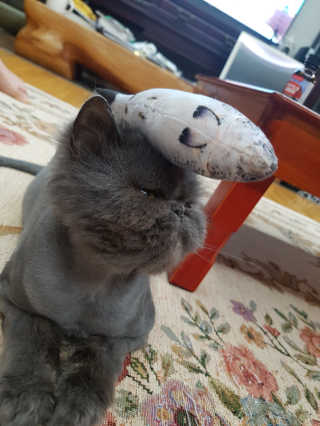 가원님이 올린 리뷰 사진 2