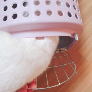 정혜님이 올린 리뷰 사진 4