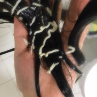 강요정님이 올린 리뷰 사진 4