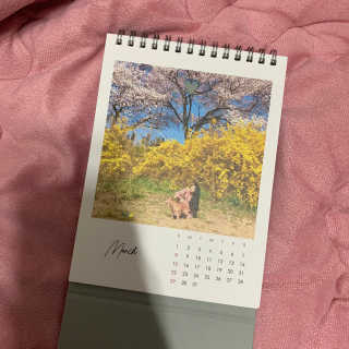 초오기님이 올린 리뷰 사진 2