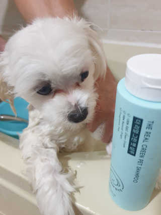 제주낭만고양이님이 올린 리뷰 사진 2