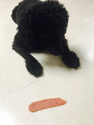 디지만경님이 올린 리뷰 사진 4