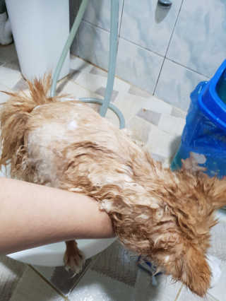 tmvksl5님이 올린 리뷰 사진 3