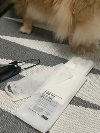 시묘님이 올린 리뷰 사진 1