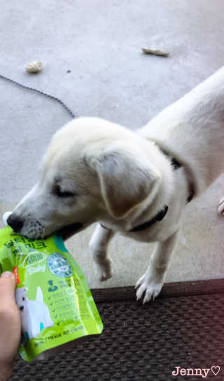 Jenny님이 올린 리뷰 사진 2