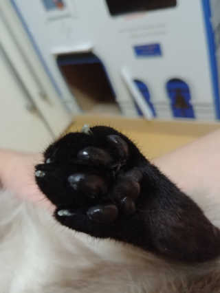 아렐다님이 올린 리뷰 사진 1