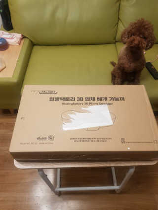 프롬님이 올린 리뷰 사진 2