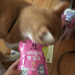 조이님이 올린 리뷰 사진 2