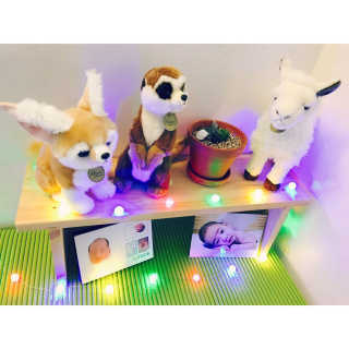 둥이아빠❤️님이 올린 리뷰 사진 1
