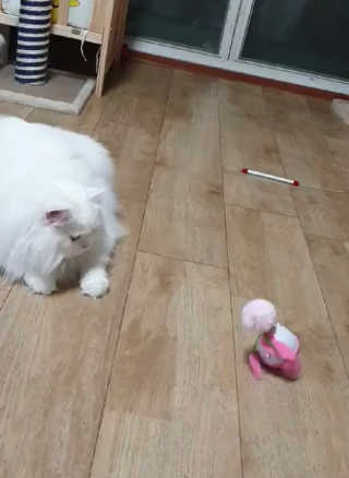 영니님이 올린 리뷰 사진 2