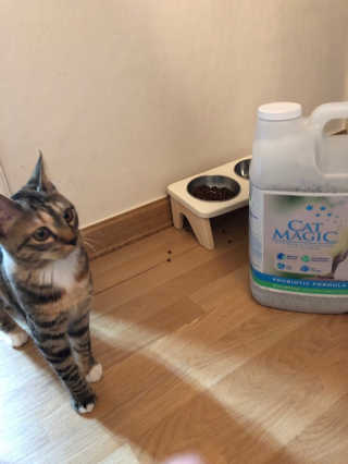 채꽃신님이 올린 리뷰 사진 1