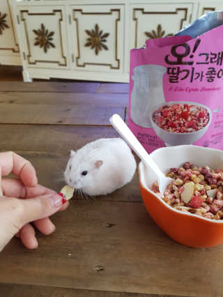 무밍우밍우님이 올린 리뷰 사진 4