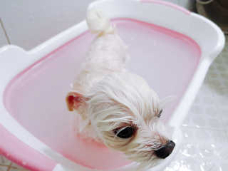 youngran님이 올린 리뷰 사진 3