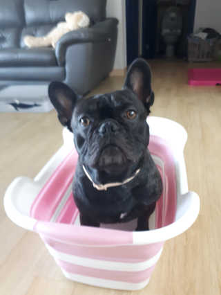 토르맘님이 올린 리뷰 사진 1