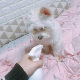 수톨님이 올린 리뷰 사진 3