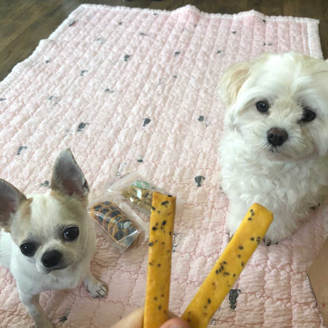 고구마치즈스틱 + 멸치쿠키 + 소간칩쿠키 [쿠키3종] 리뷰 사진