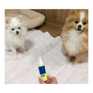 영블리님이 올린 리뷰 사진 1