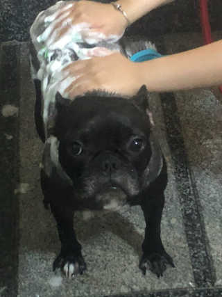 윤영님이 올린 리뷰 사진 1