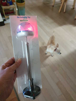 꽃사과님이 올린 리뷰 사진 2