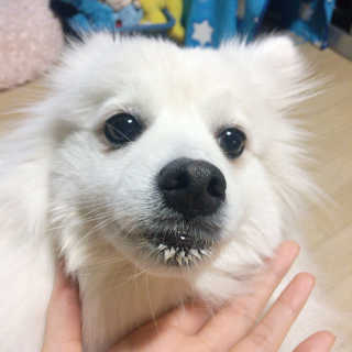 누리님이 올린 리뷰 사진 3