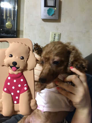 유은님이 올린 리뷰 사진 2
