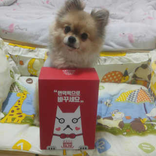 Ariel님이 올린 리뷰 사진 1
