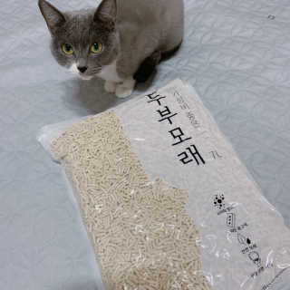 댜니님이 올린 리뷰 사진 1