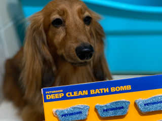 Pethroom 페스룸 PETHROOM DEEP CLEAN BATHBOMB 페스룸 딥클린 배쓰밤 — 5점을 준 리뷰어가 2020년 3월 올린 사용 사진