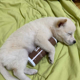 깡자맘님이 올린 리뷰 사진 1