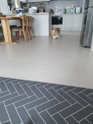 혜무룩님이 올린 리뷰 사진 2