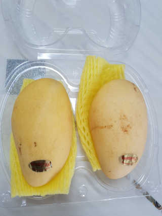grapefruit님이 올린 리뷰 사진 2