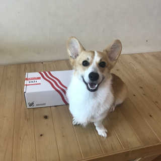유나ㅏ님이 올린 리뷰 사진 3