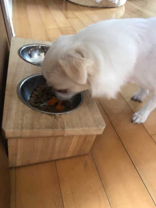 채꽃신님이 올린 리뷰 사진 2