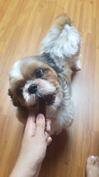 쭌쭌맘님이 올린 리뷰 사진 1