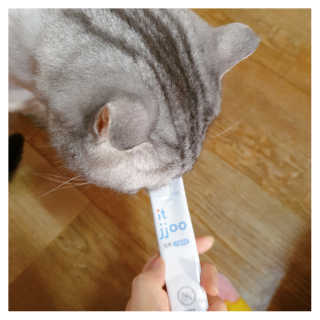 에디터보나님이 올린 리뷰 사진 1