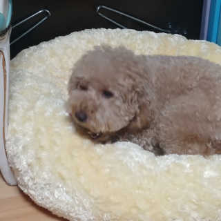 songyn님이 올린 리뷰 사진 3