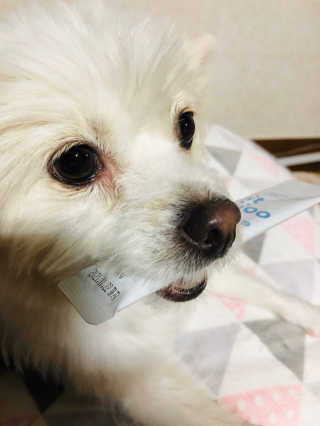 Lily님이 올린 리뷰 사진 3