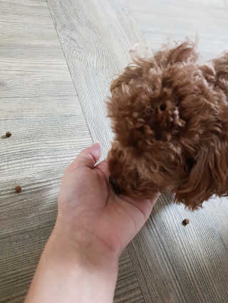 그녀의시선님이 올린 리뷰 사진 1