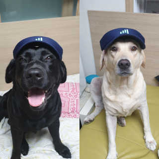 Lilly❤️님이 올린 리뷰 사진 2