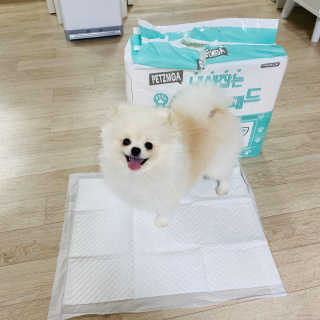 임수빈님이 올린 리뷰 사진 4