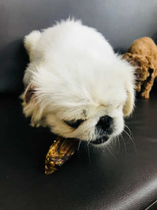 쏭님이 올린 리뷰 사진 2