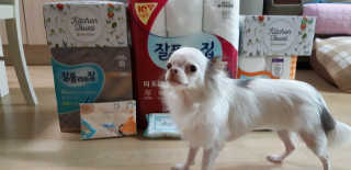 찡님이 올린 리뷰 사진 3