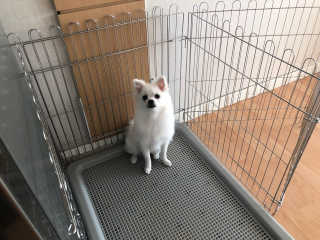 씬님이 올린 리뷰 사진 2