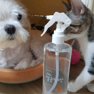 [펫토리아]살균뚝딱 강아지 고양이 살균소독제 탈취제 — 5점을 준 리뷰어가 2019년 10월 올린 사용 사진