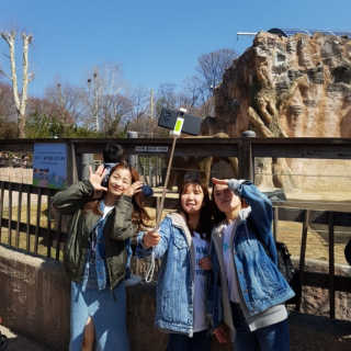 샤샤이모 🧡💛님이 올린 리뷰 사진 2