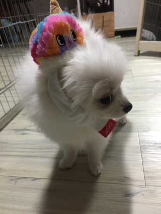 딸기맘님이 올린 리뷰 사진 2