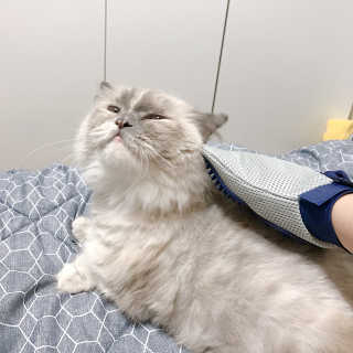 공실이님이 올린 리뷰 사진 1