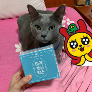 조아조아님이 올린 리뷰 사진 2